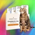 What’s the Best Pet DNA Test? We Tested the Most Popular Ones