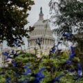 A Republican midterm defeat will not be an earthquake